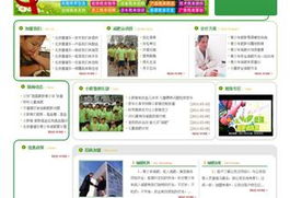 沈陽網站建設與設計 打造專業在線形象，驅動企業數字增長