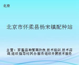 懷柔畜牧技術服務站 深化配種技術咨詢，助力鄉村振興